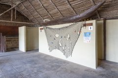 Lighthouse-Reef-and-Esperanza-Lodge-Gallery-010