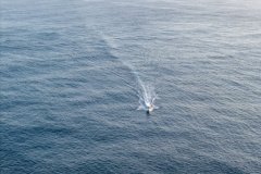 Lighthouse-Reef-and-Esperanza-Lodge-Gallery-290