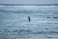 Lighthouse-Reef-and-Esperanza-Lodge-Gallery-053
