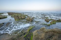 Lighthouse-Reef-and-Esperanza-Lodge-Gallery-057