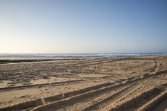 Lighthouse-Reef-and-Esperanza-Lodge-Gallery-074